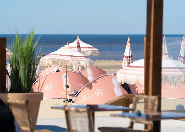 Kabine: Chalet Zandvoort